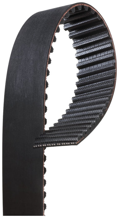 Gates T317RB Engine Timing Belt