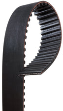 Gates T317 Engine Timing Belt