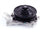 Gates 42579 Engine Water Pump