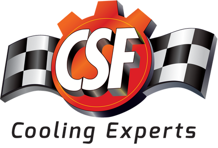 CSF