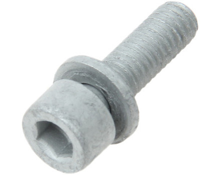 Fuel Pump Injection Bolts