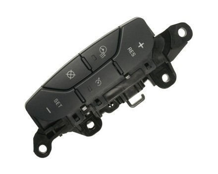 Cruise Control Switches