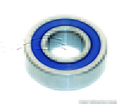 Automatic Transmission Extension Housing Bearings