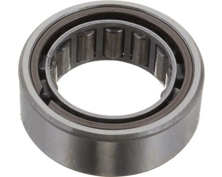 Differential Pinion Pilot Bearings