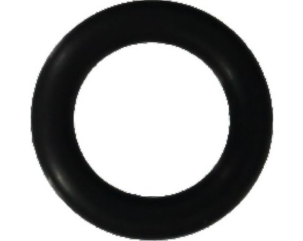 Engine Coolant Outlet O-Rings