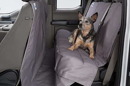Pet Seat Protector